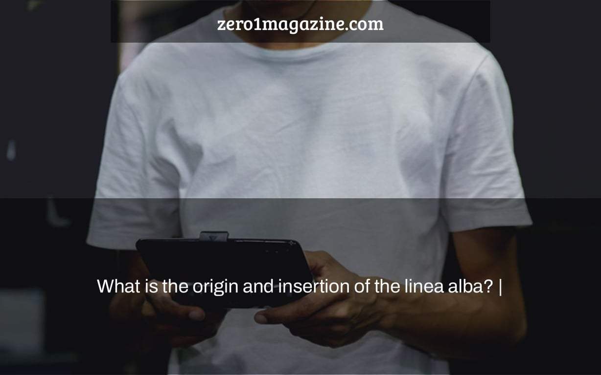 What is the origin and insertion of the linea alba? |