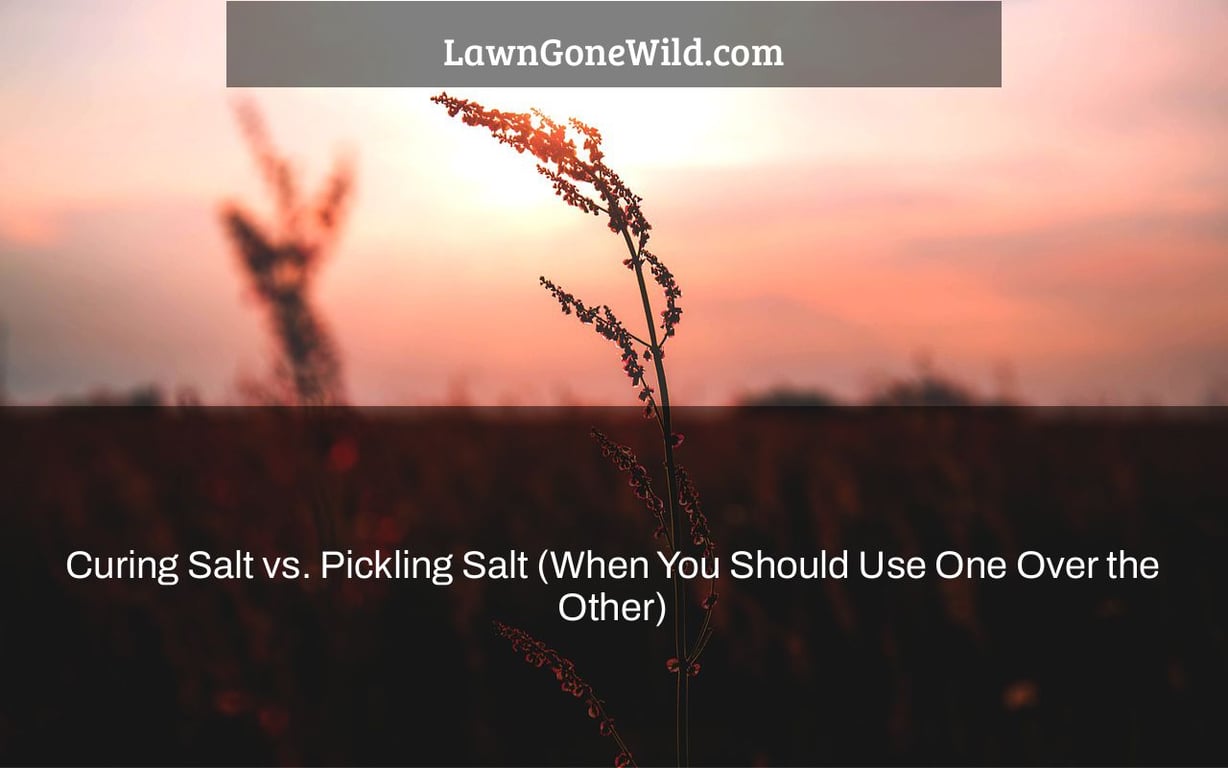 Curing Salt vs. Pickling Salt (When You Should Use One Over the Other