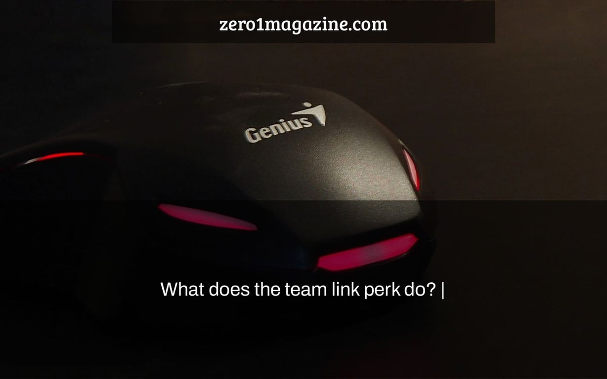 What does the team link perk do? |