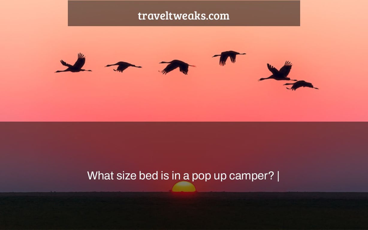 What size bed is in a pop up camper? |