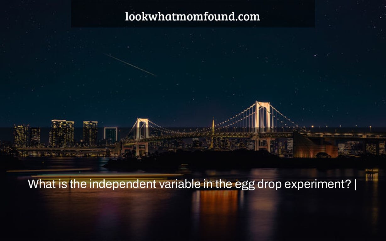 What is the independent variable in the egg drop experiment?