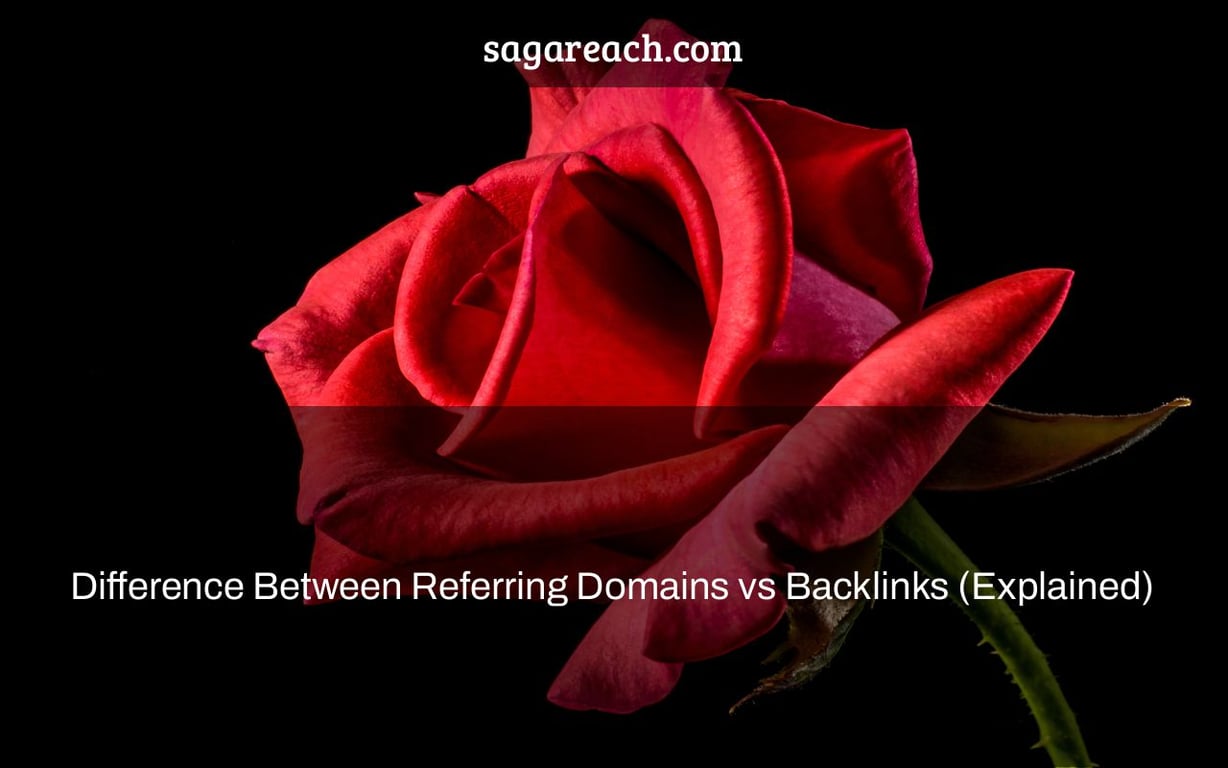Difference Between Referring Domains vs Backlinks (Explained)