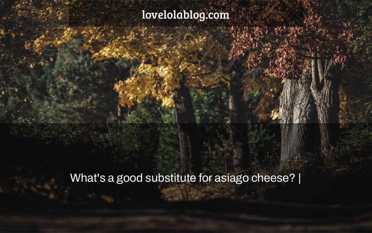 What's a good substitute for asiago cheese? |