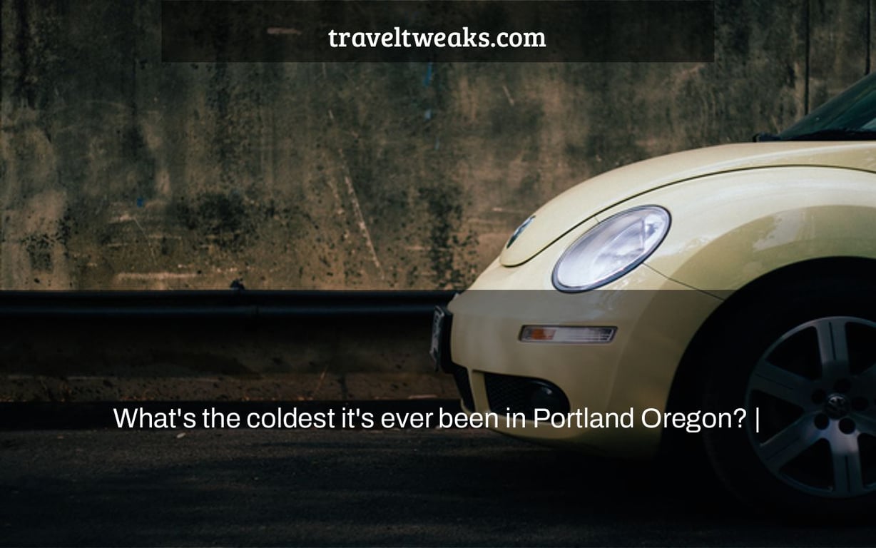 What's the coldest it's ever been in Portland Oregon? |