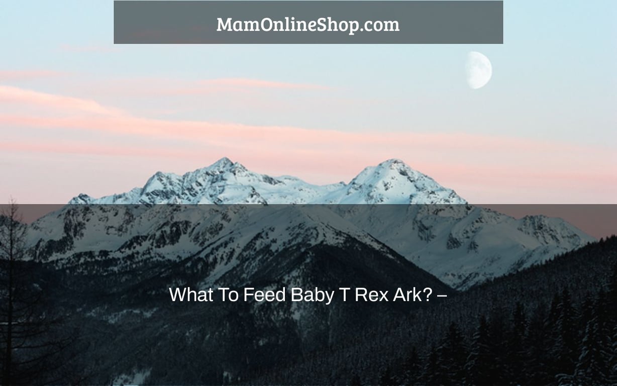 What To Feed Baby T Rex Ark? –