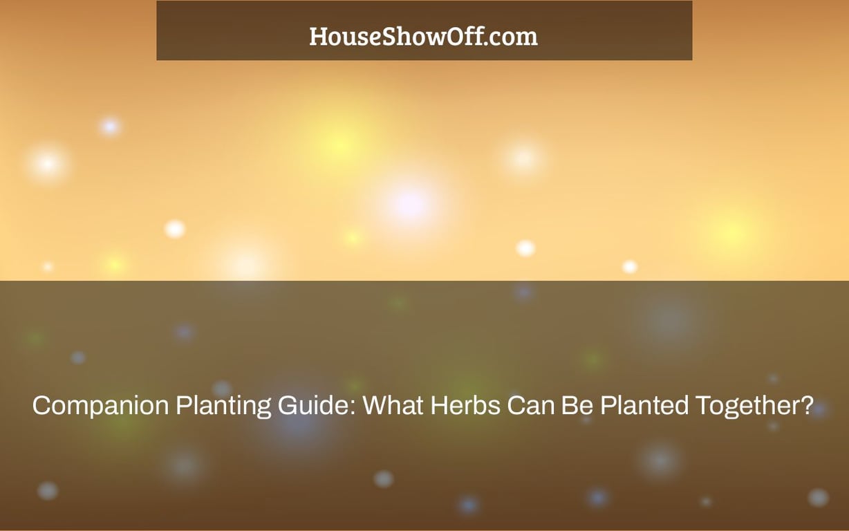 Companion Planting Guide: What Herbs Can Be Planted Together?