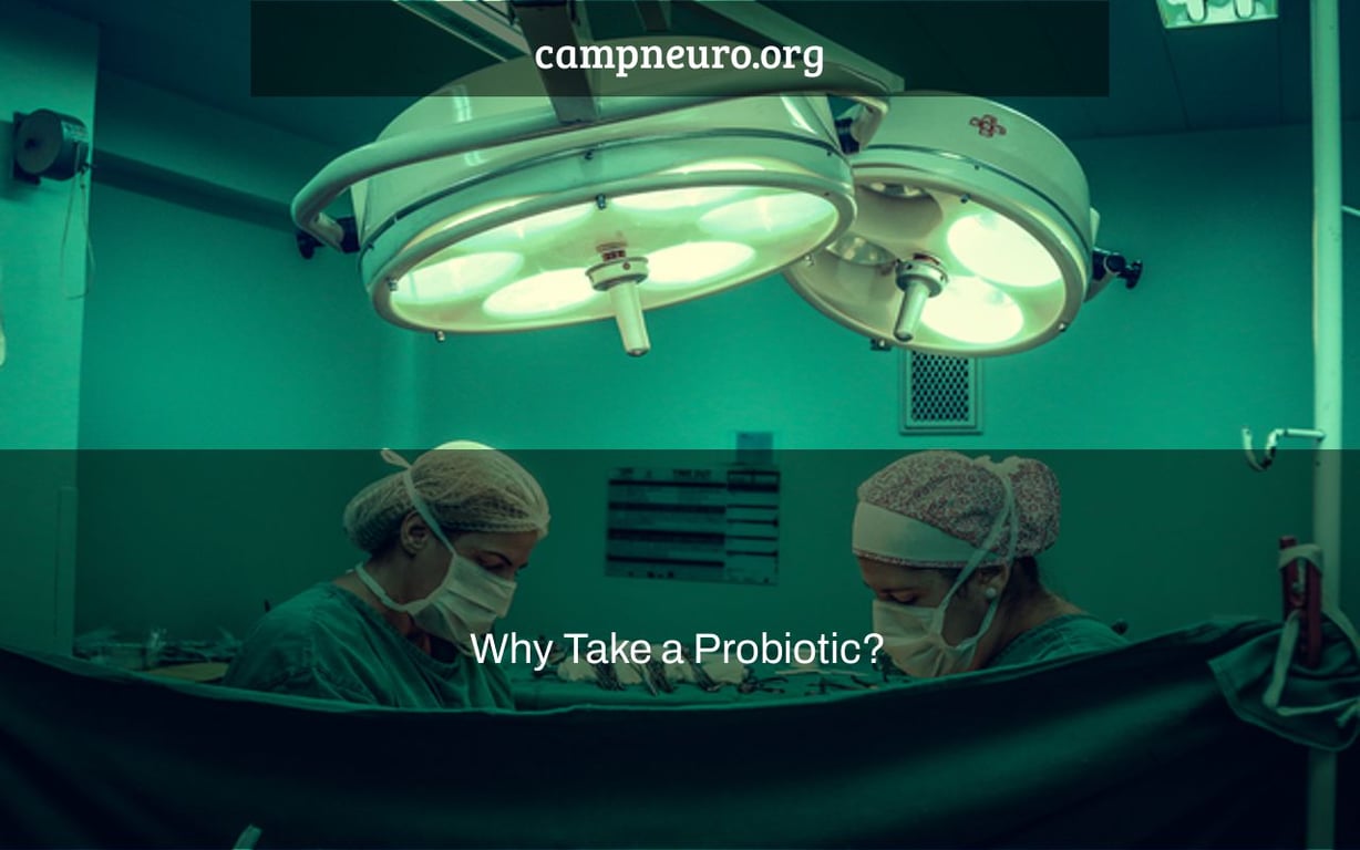 Why Take a Probiotic?