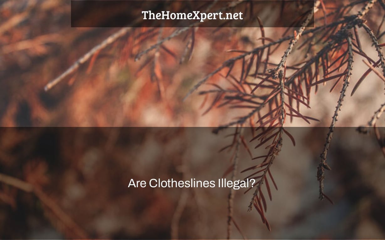 Are Clotheslines Illegal? The Home Expert