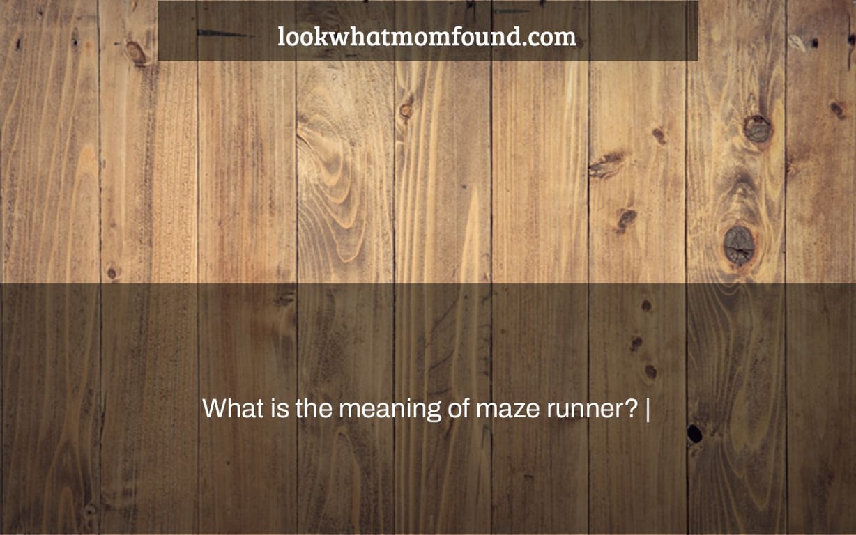 What is the meaning of maze runner?