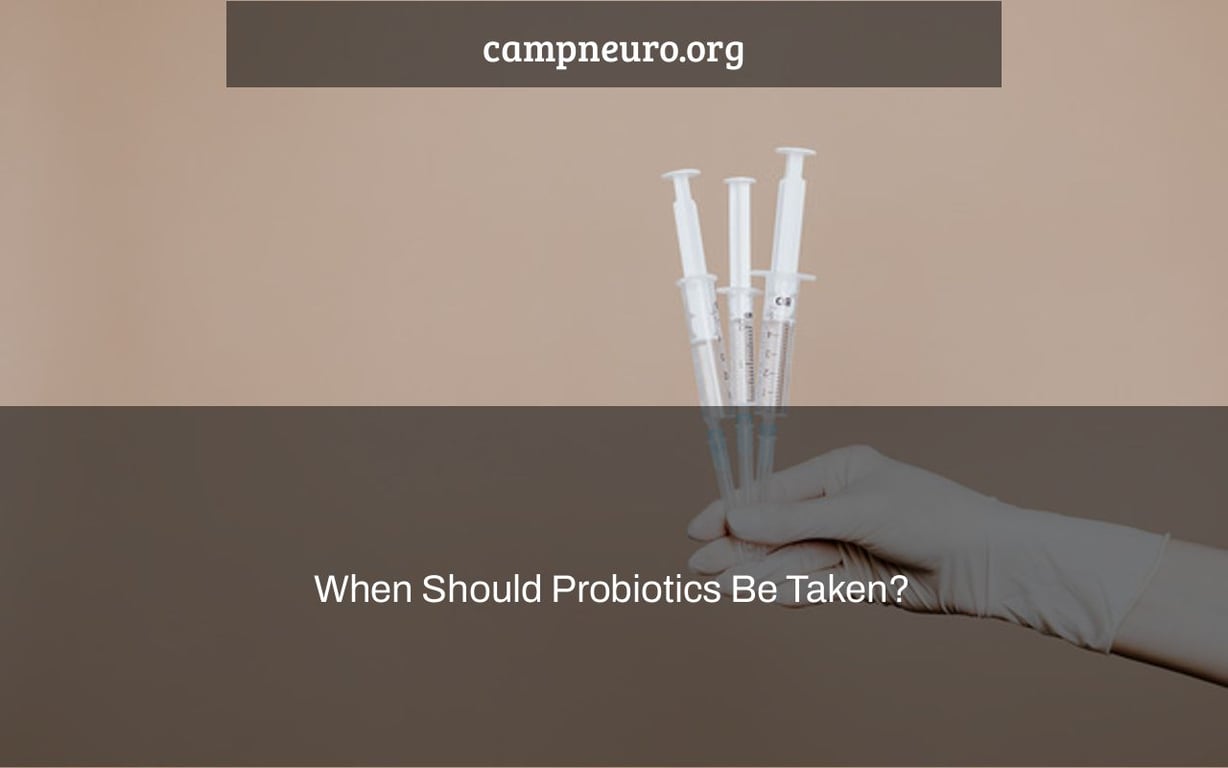 When Should Probiotics Be Taken?
