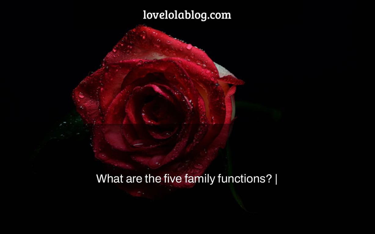 What are the five family functions? |