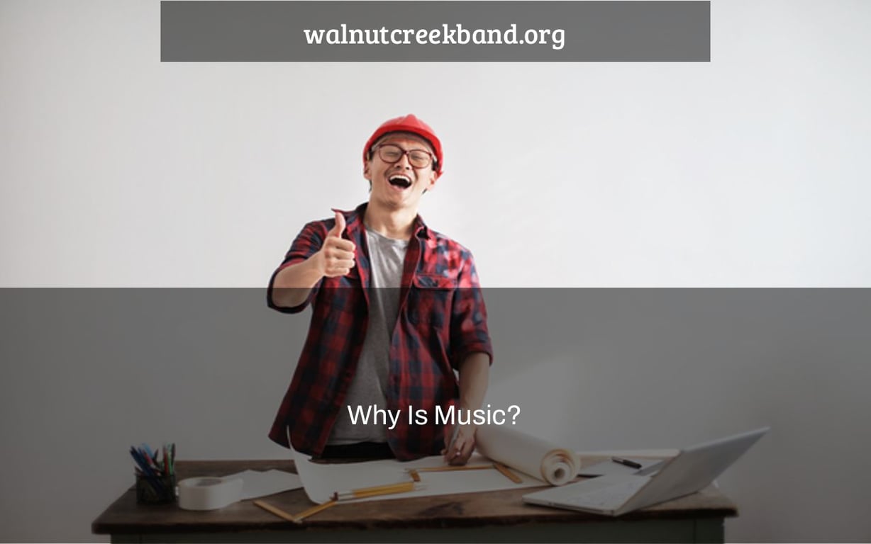 Why Is Music?