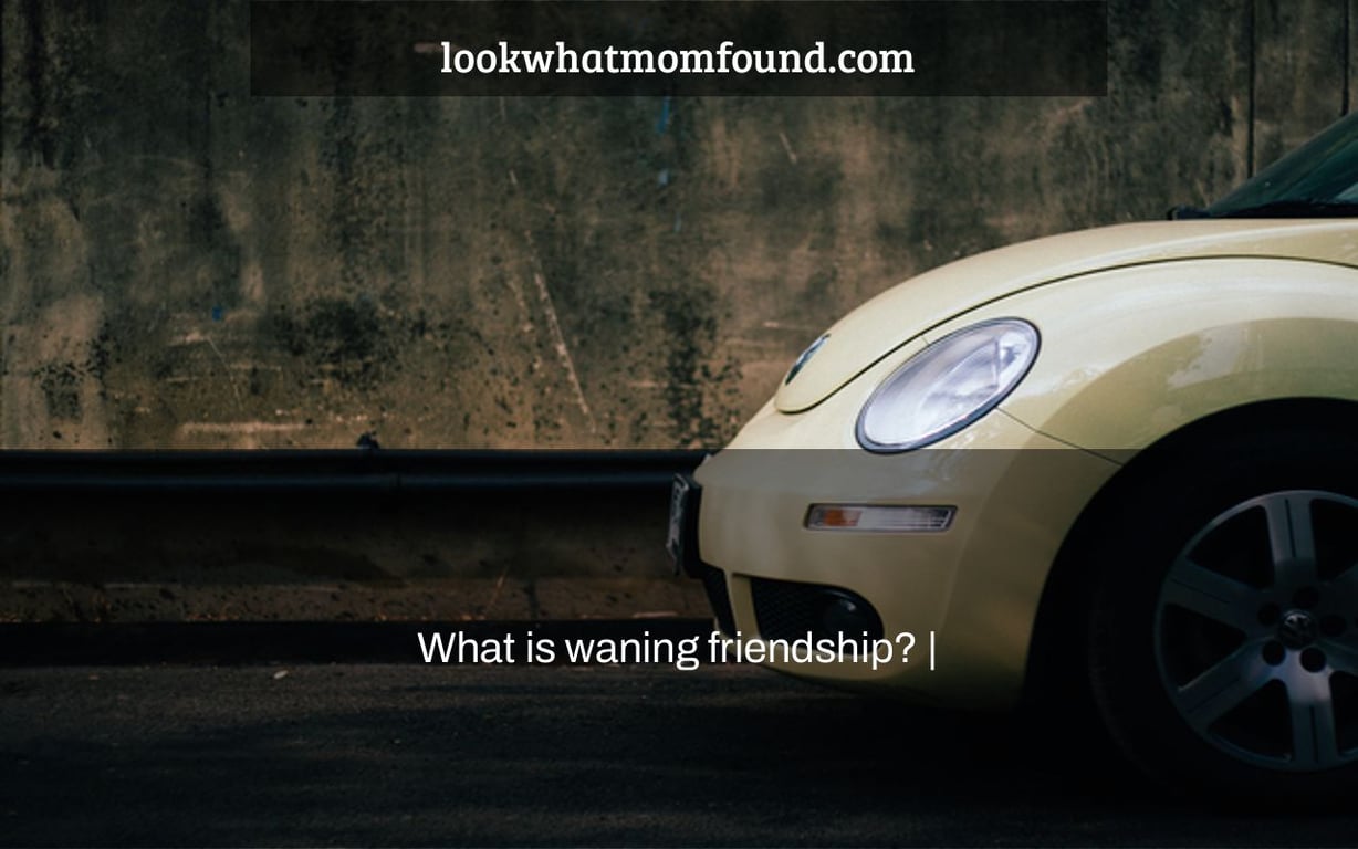 What is waning friendship? |