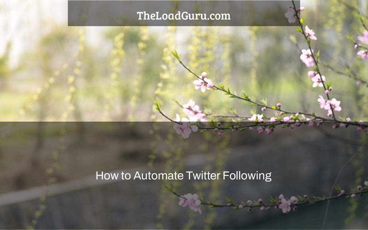 How to Automate Twitter Following