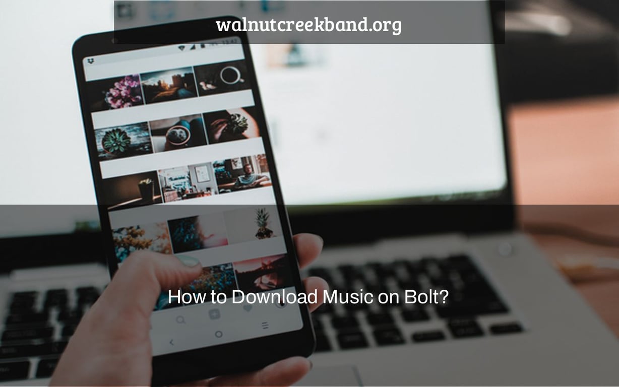 How to Download Music on Bolt?