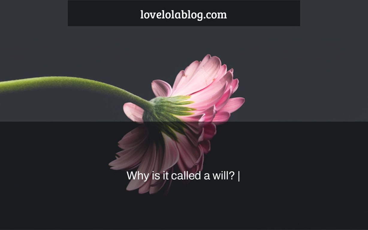 Why is it called a will? |