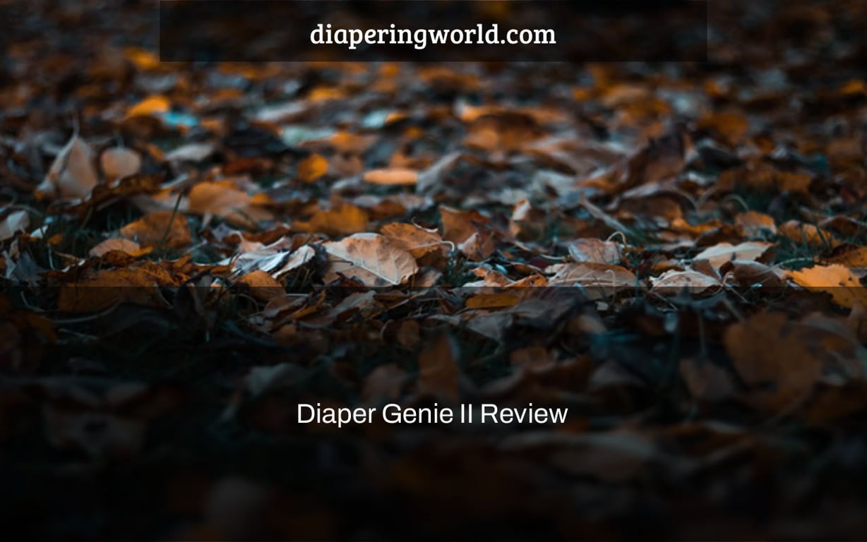 Diaper Genie II Review
