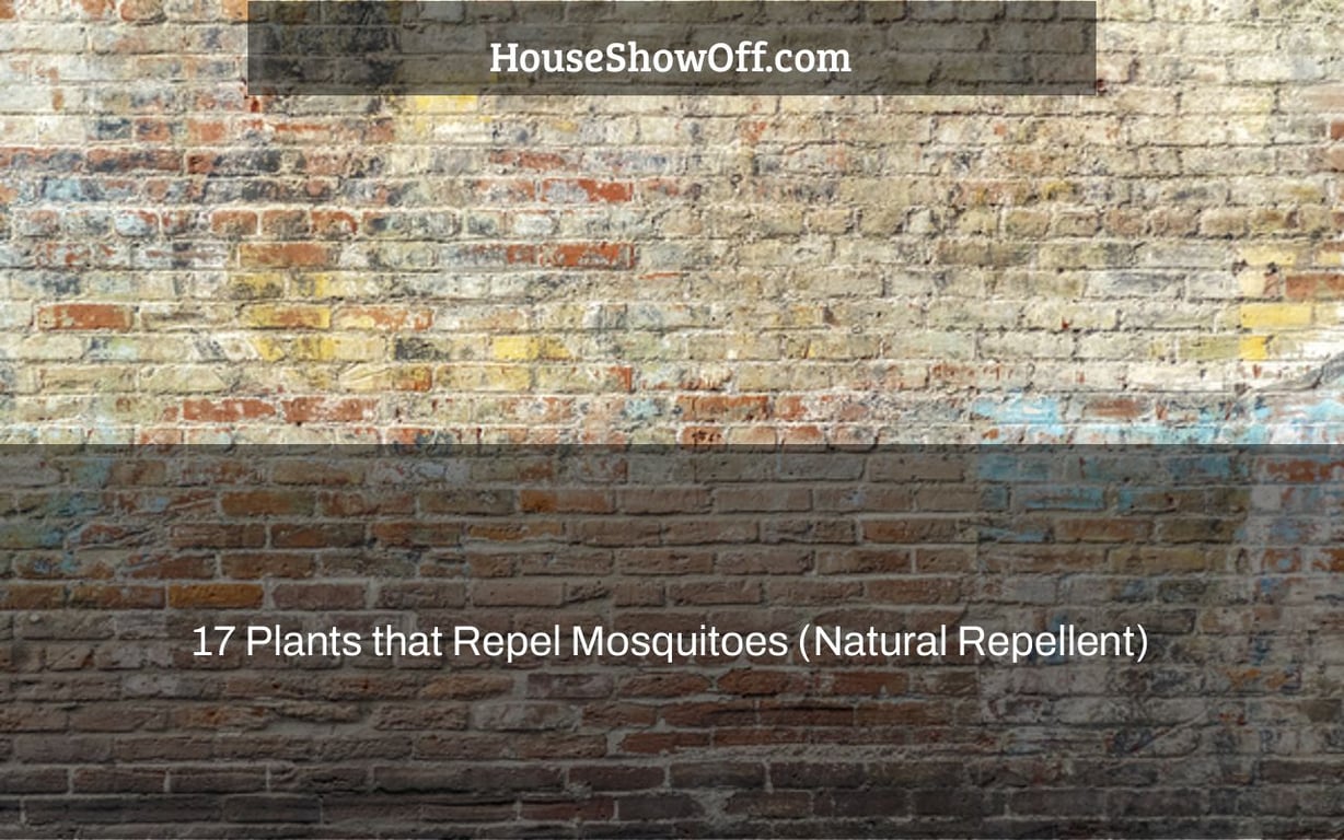 17 Plants that Repel Mosquitoes (Natural Repellent)