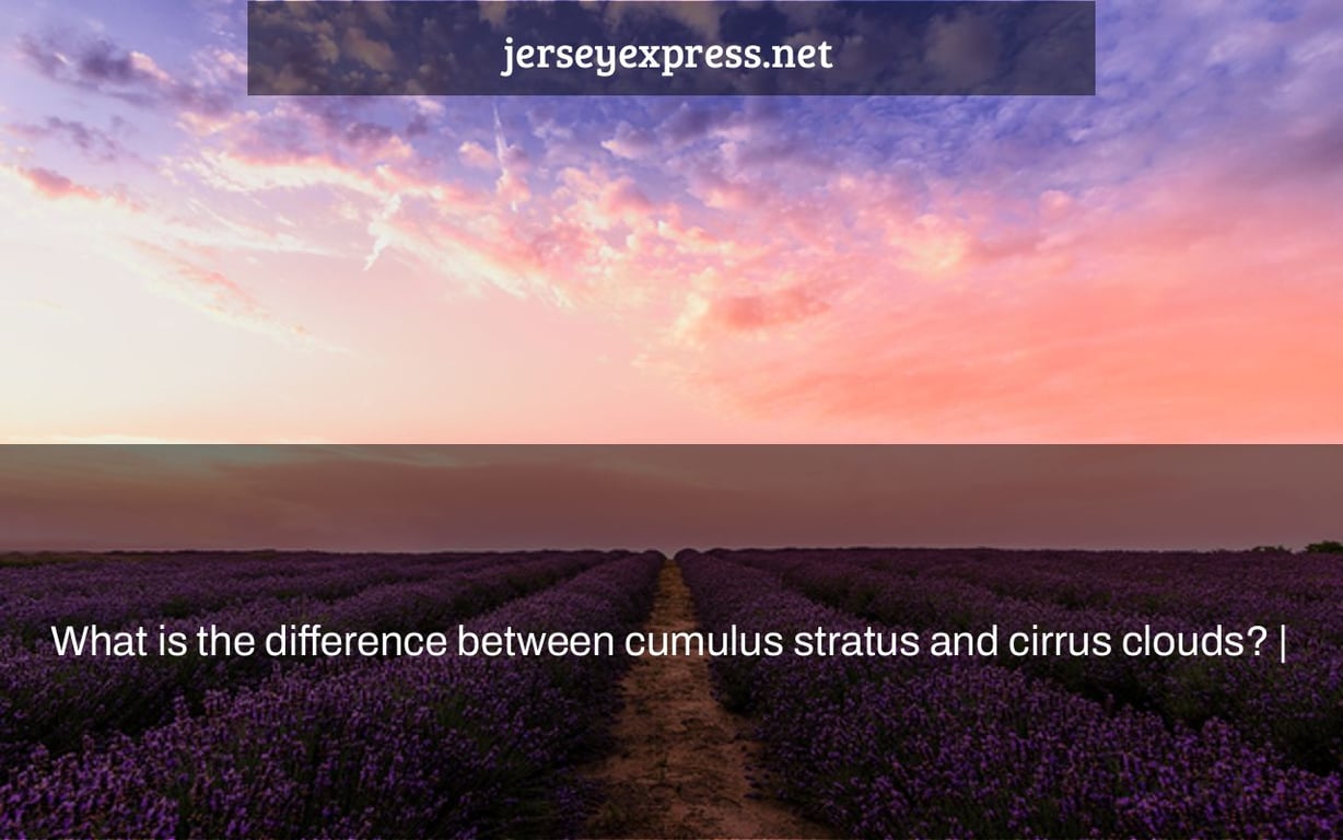 What is the difference between cumulus stratus and cirrus clouds? |