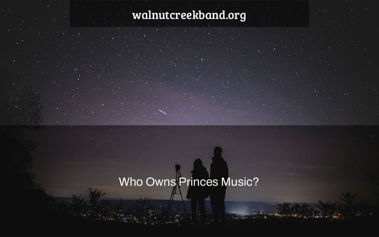 Who Owns Princes Music?