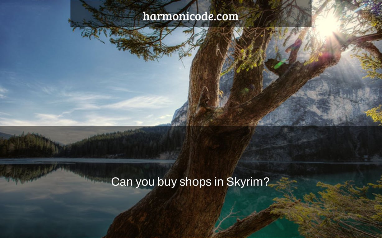 Can you buy shops in Skyrim?