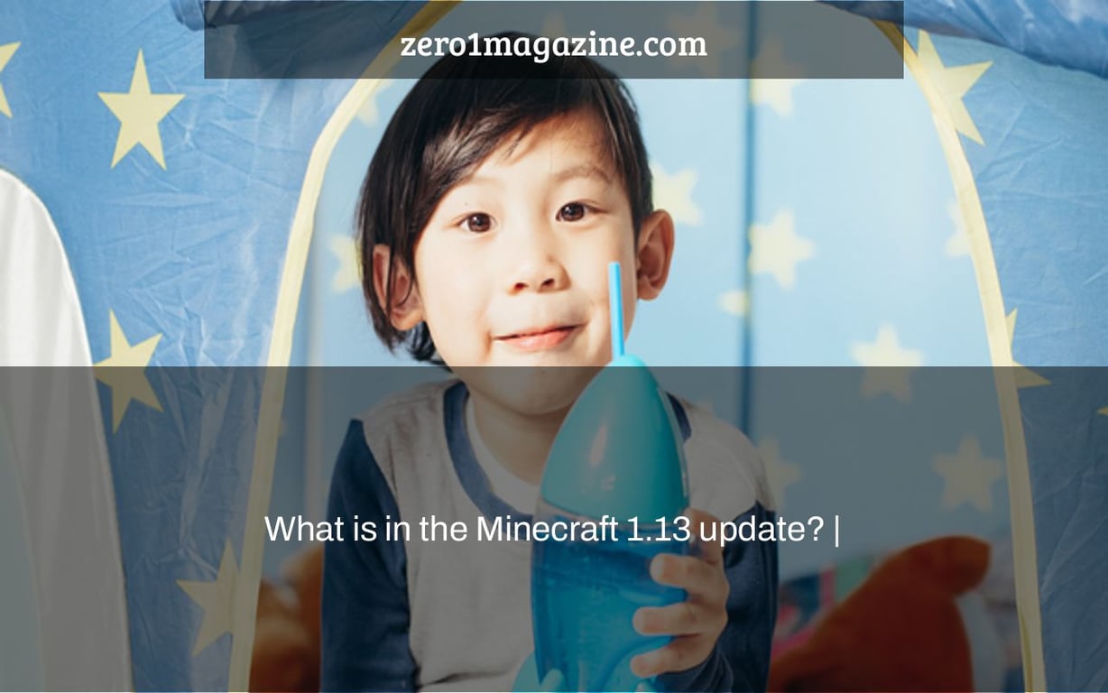 What is in the Minecraft 1.13 update? |