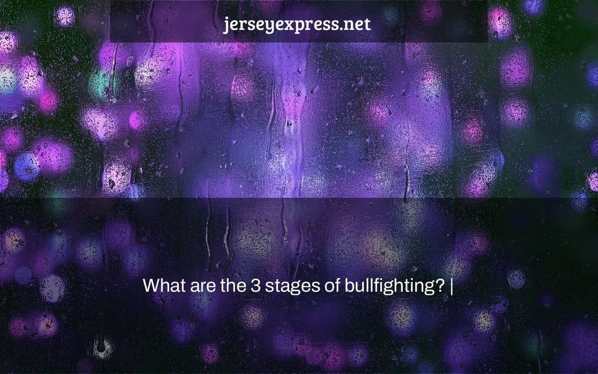 What are the 3 stages of bullfighting? |