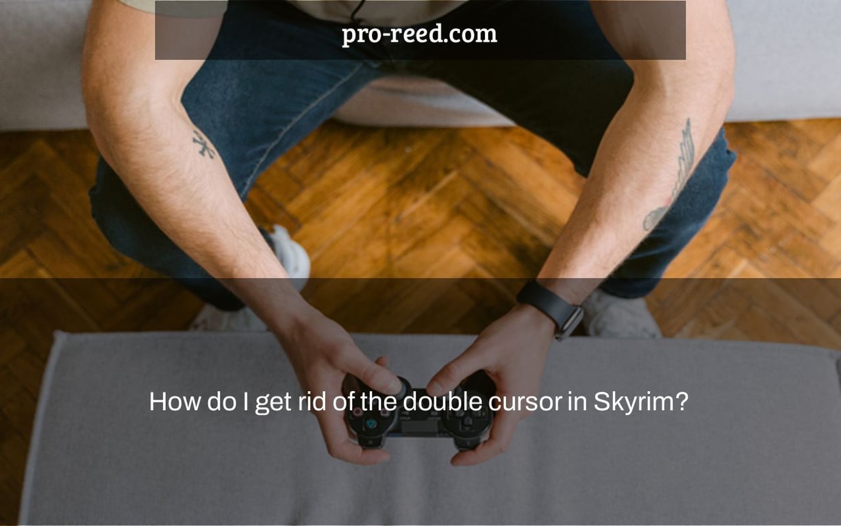 How do I get rid of the double cursor in Skyrim?