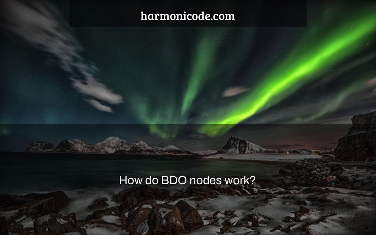 How do BDO nodes work?