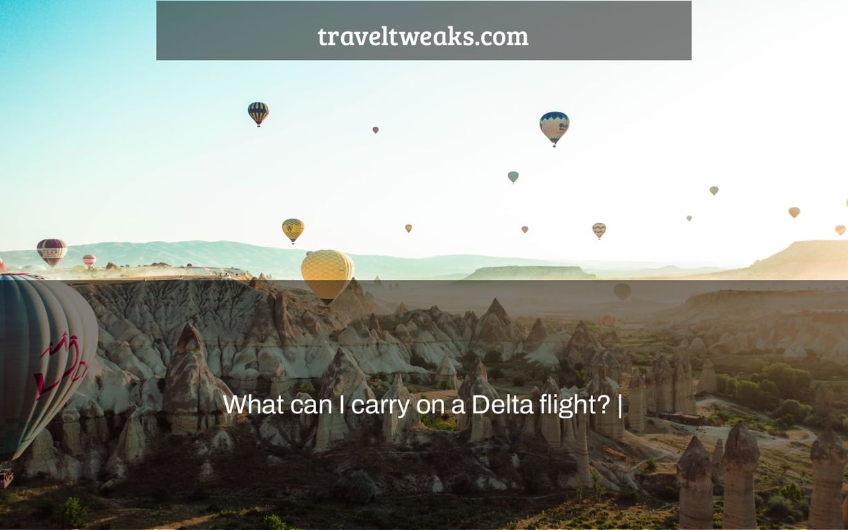 What can I carry on a Delta flight? |
