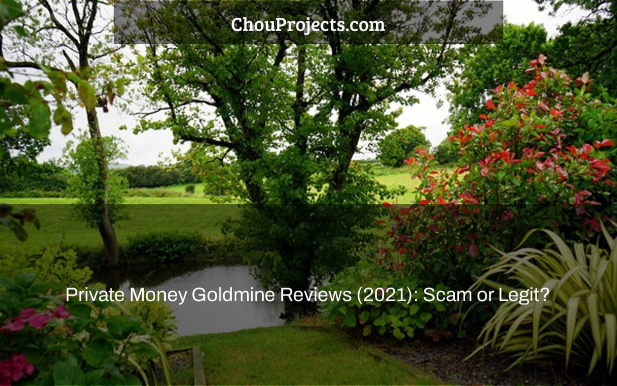 Private Money Goldmine Reviews 2021 Scam Or Legit 