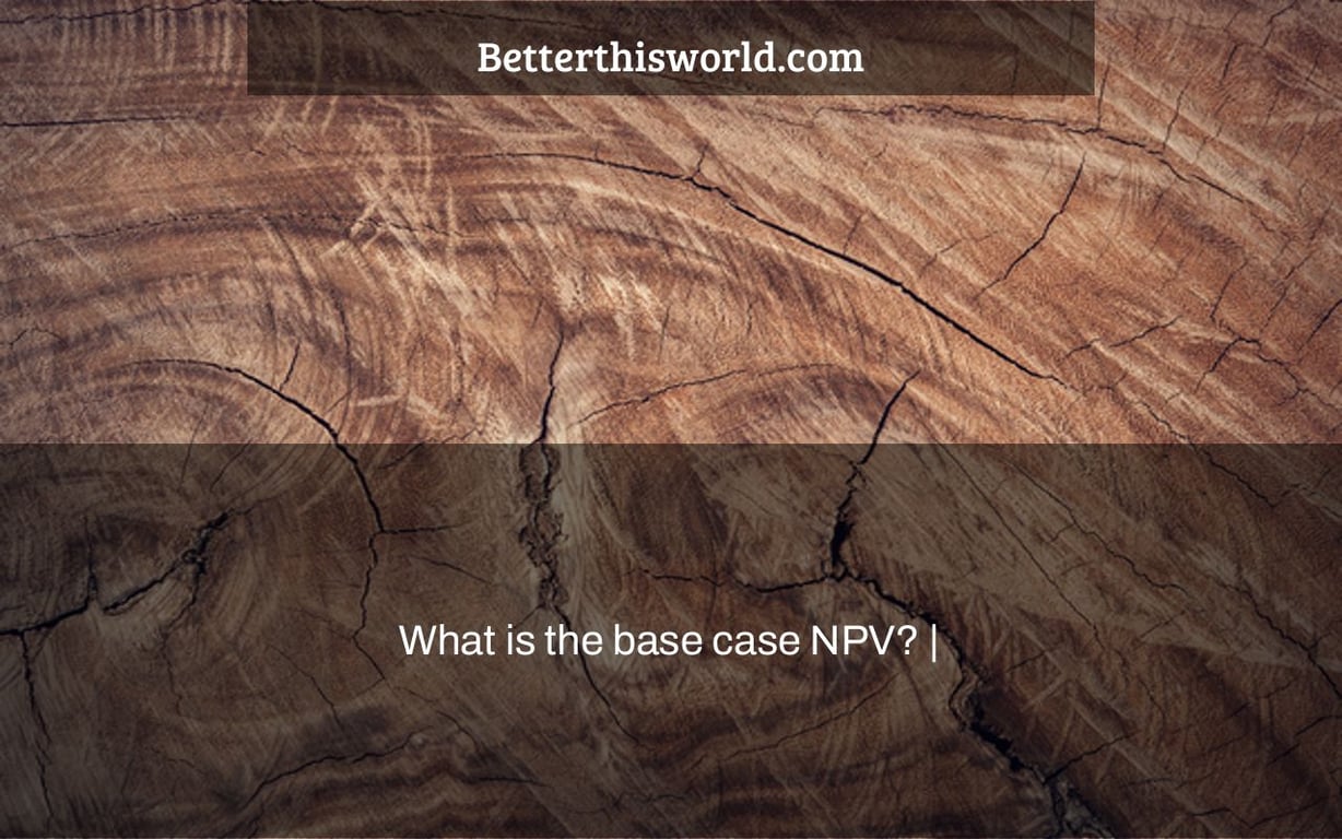 What is the base case NPV? |