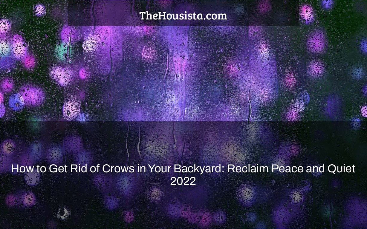 How to Get Rid of Crows in Your Backyard: Reclaim Peace and Quiet 2022