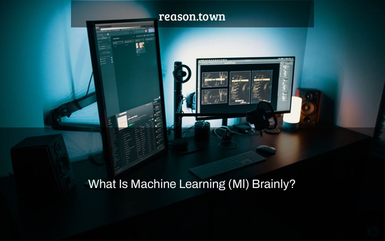 What Is Machine Learning (Ml) Brainly?
