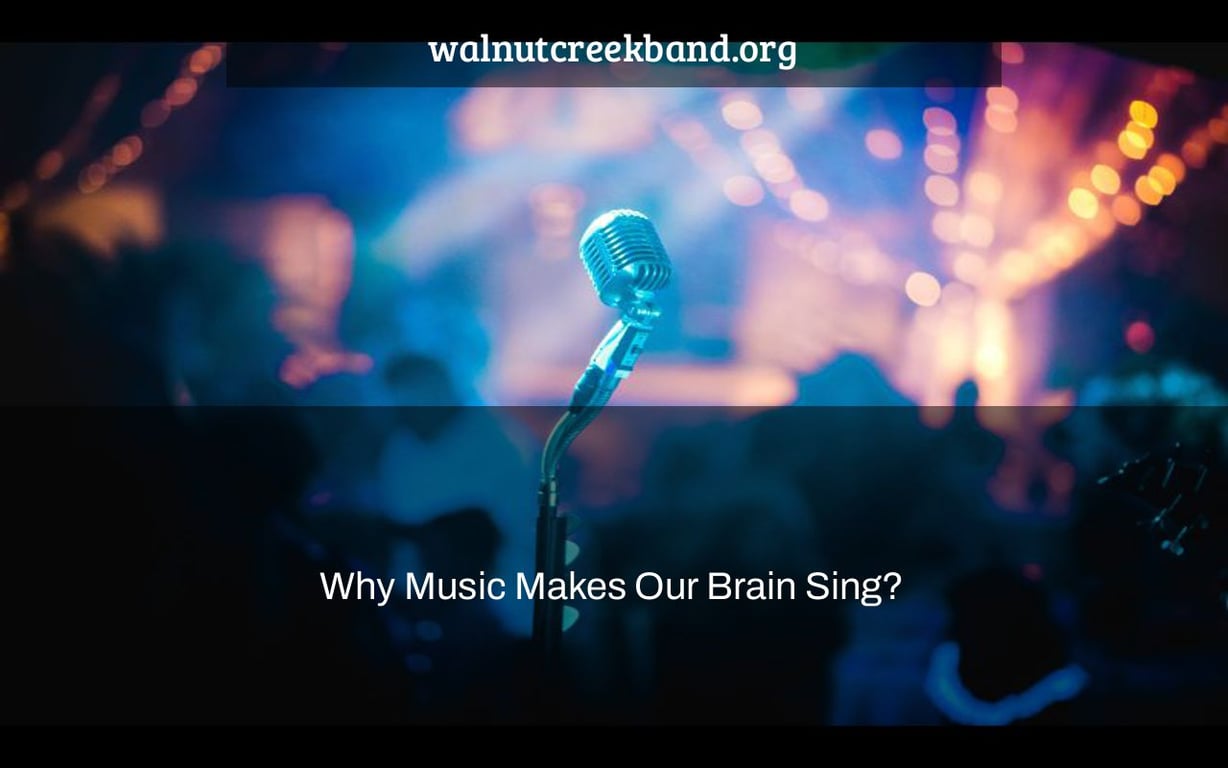 Why Music Makes Our Brain Sing?