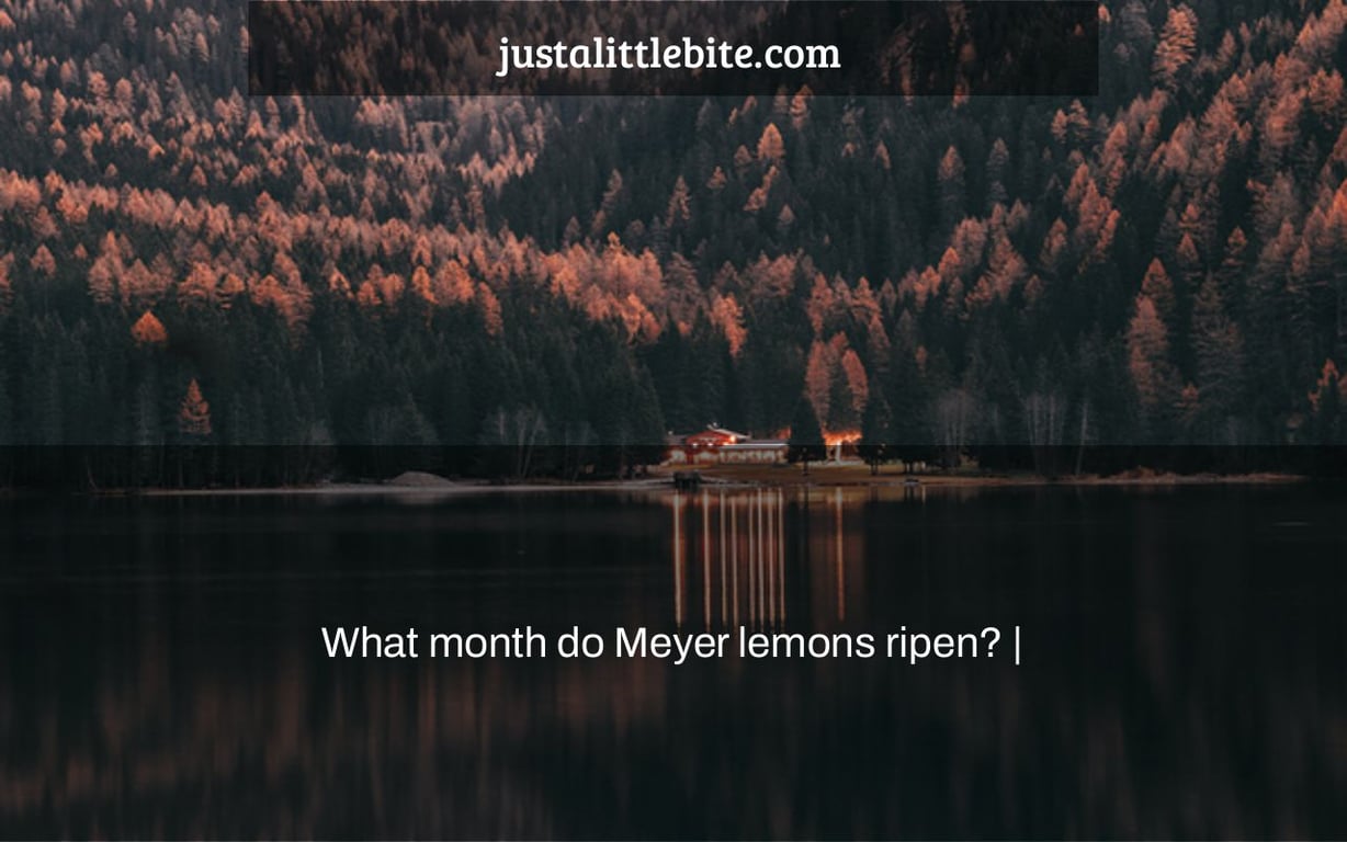 What month do Meyer lemons ripen? |