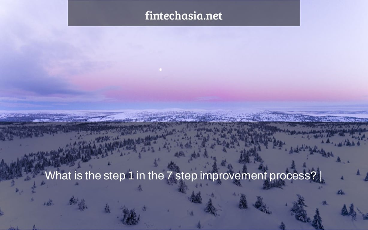 What is the step 1 in the 7 step improvement process? |