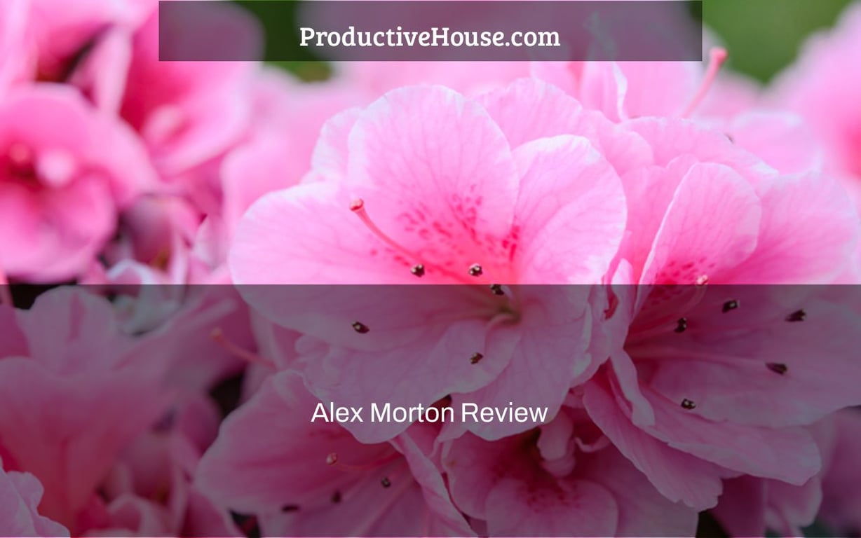 Alex Morton Review