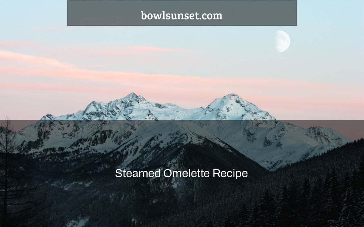 Steamed Omelette Recipe