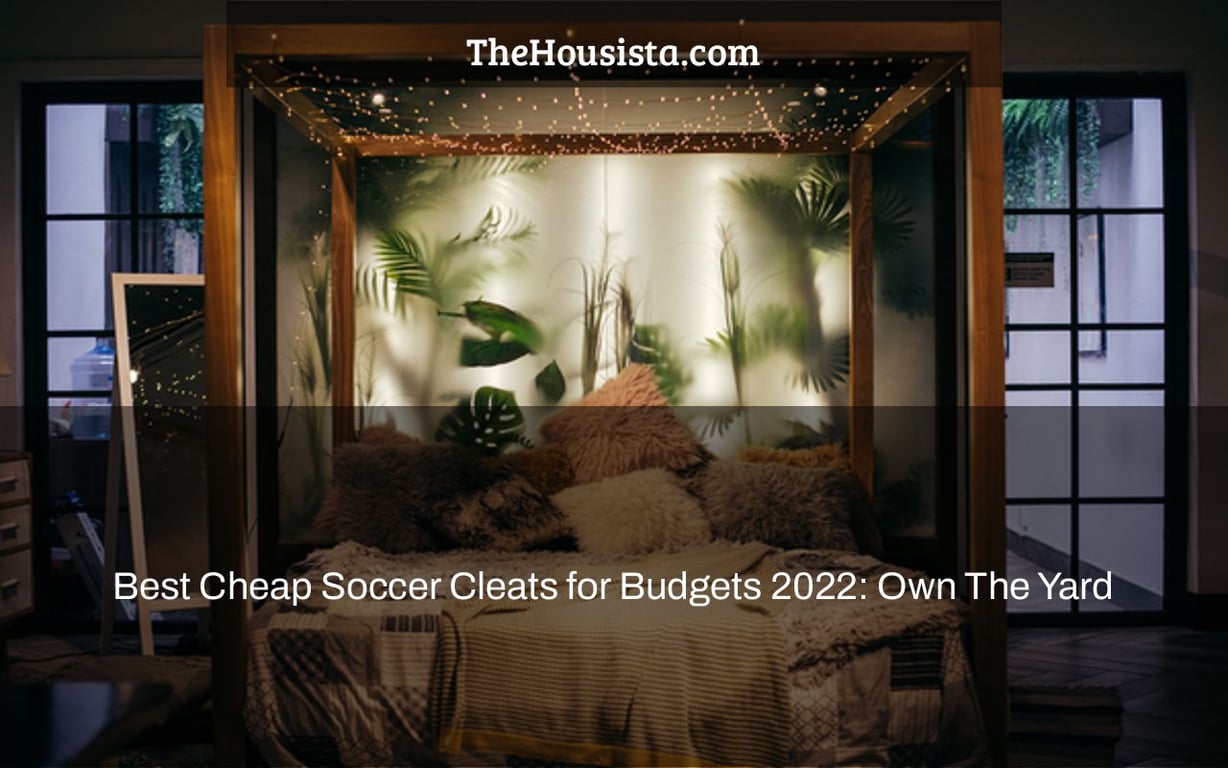 Best Cheap Soccer Cleats for Budgets 2022: Own The Yard