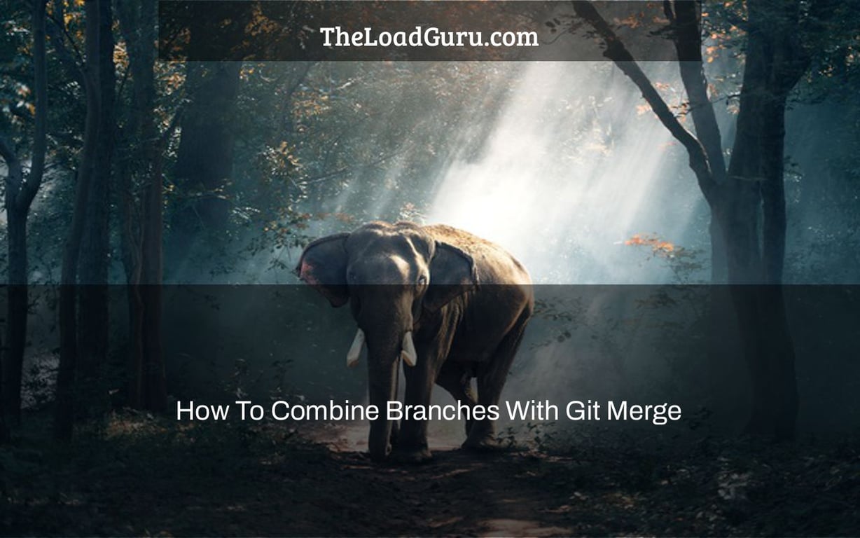 How To Combine Branches With Git Merge