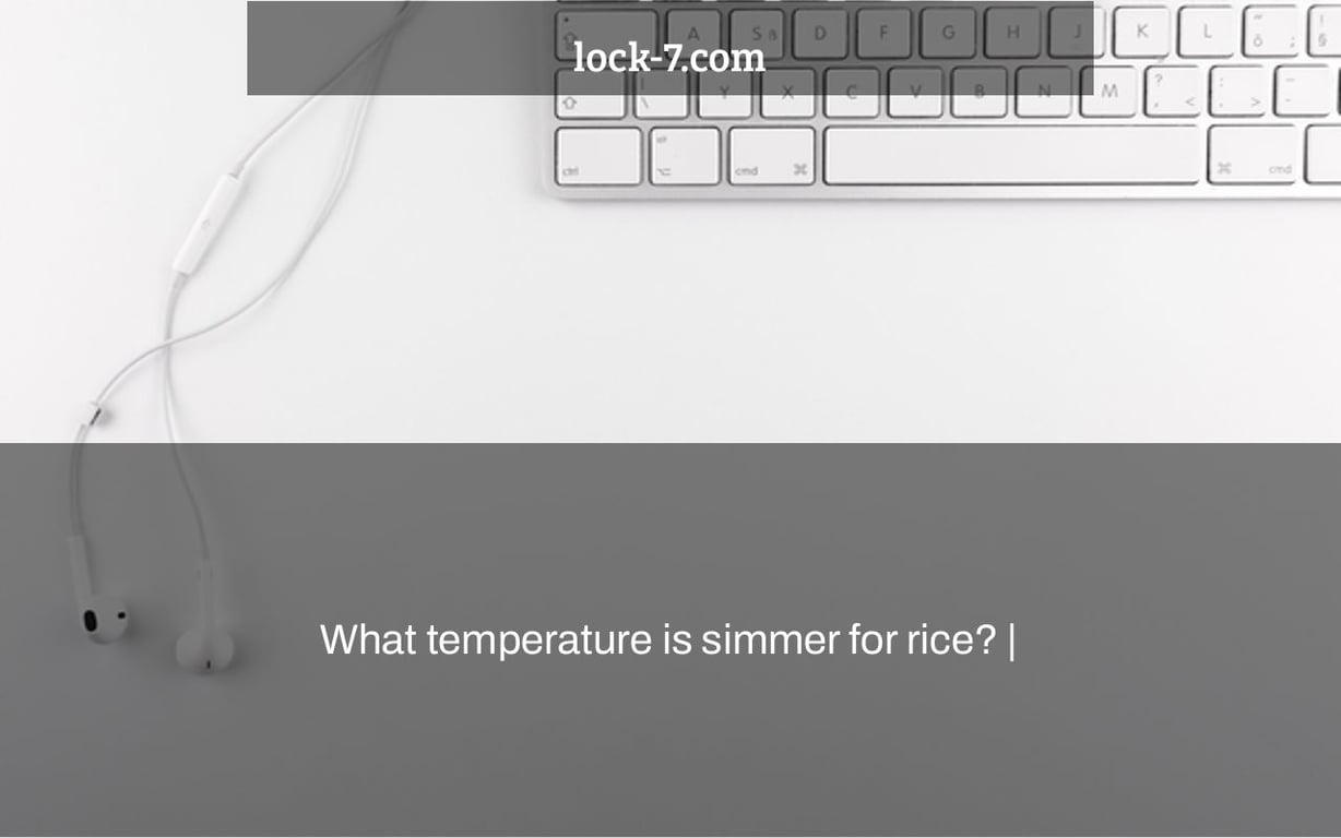 What temperature is simmer for rice? |