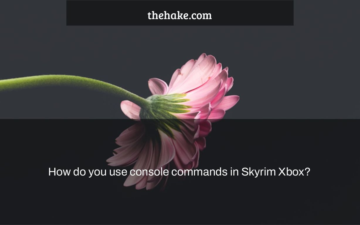 How do you use console commands in Skyrim Xbox? The Hake