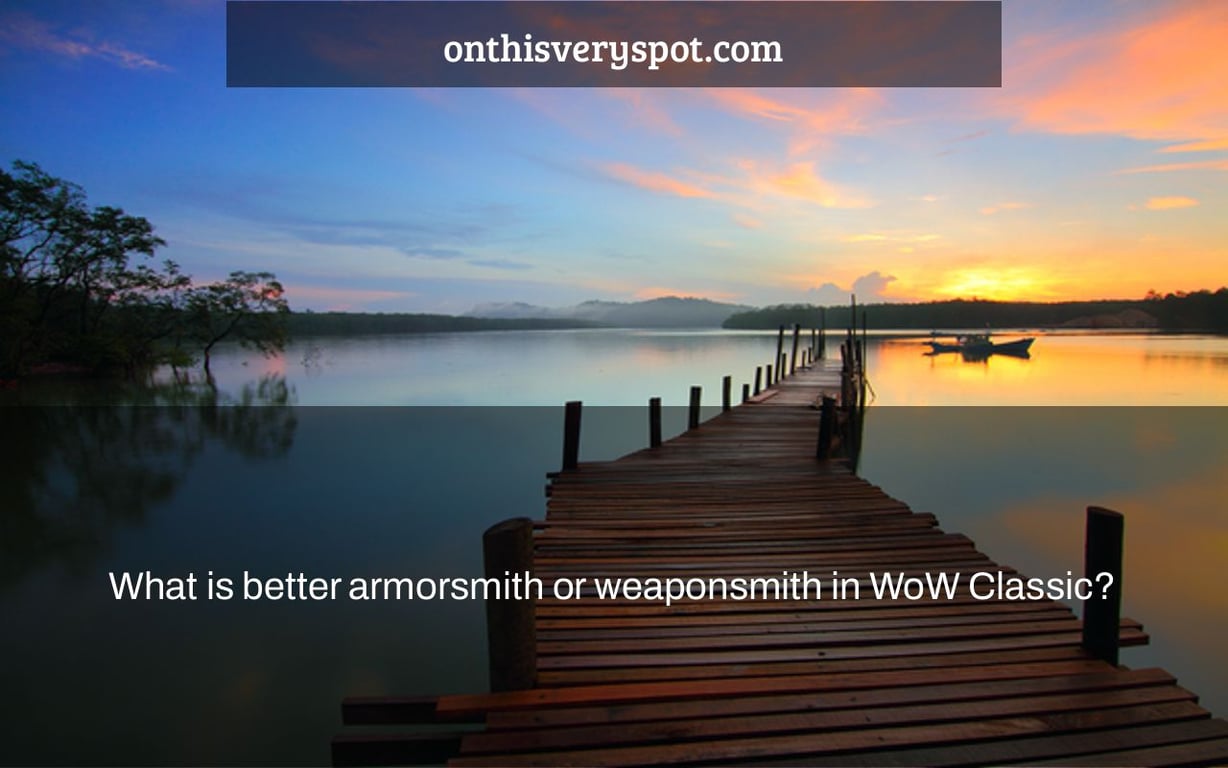 What is better armorsmith or weaponsmith in WoW Classic?