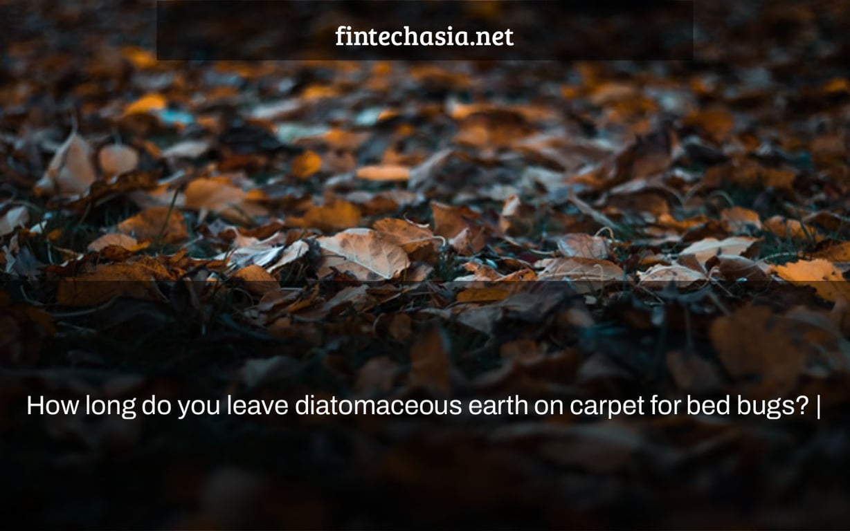 How long do you leave diatomaceous earth on carpet for bed bugs? |