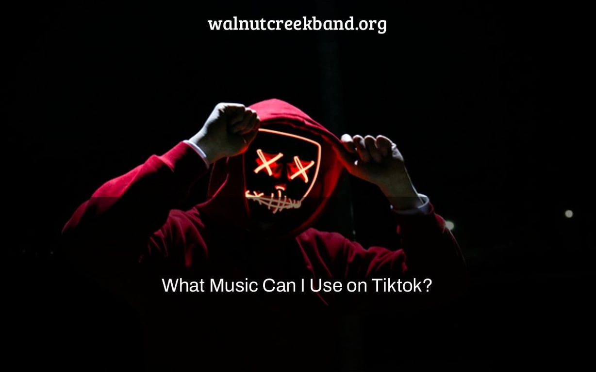 What Music Can I Use on Tiktok?