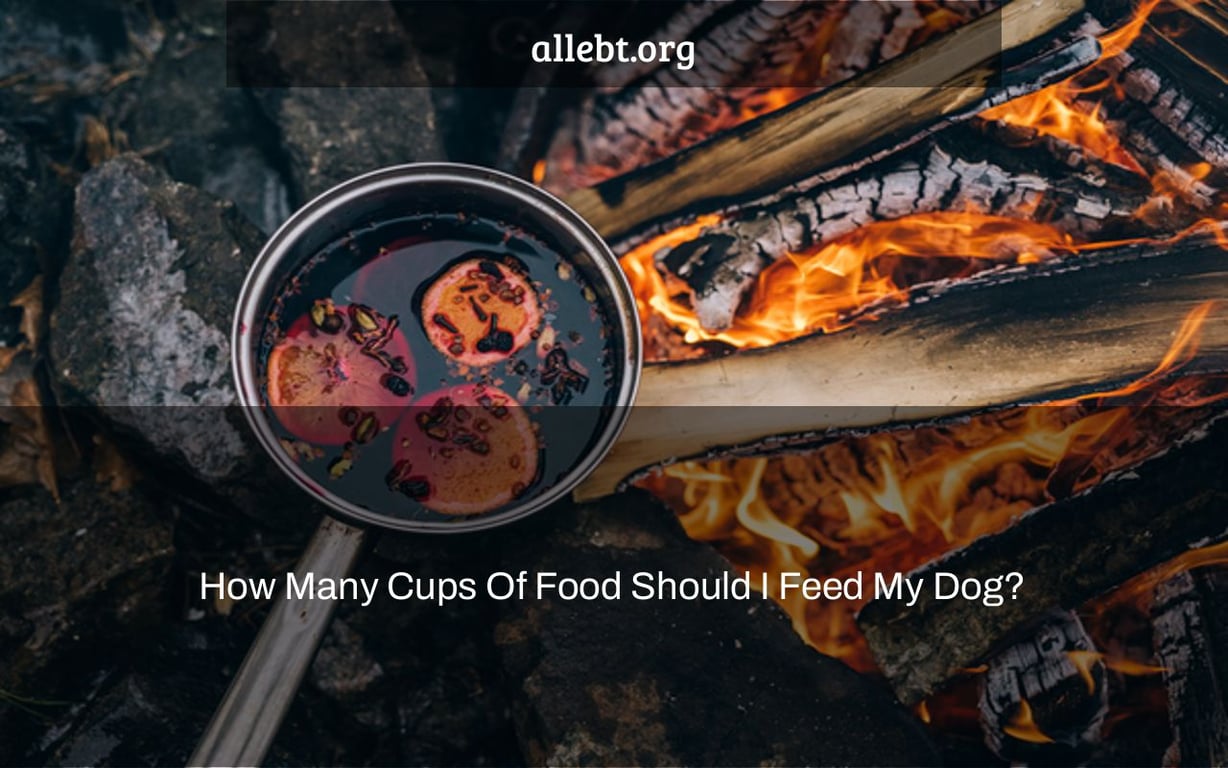 How Many Cups Of Food Should I Feed My Dog?
