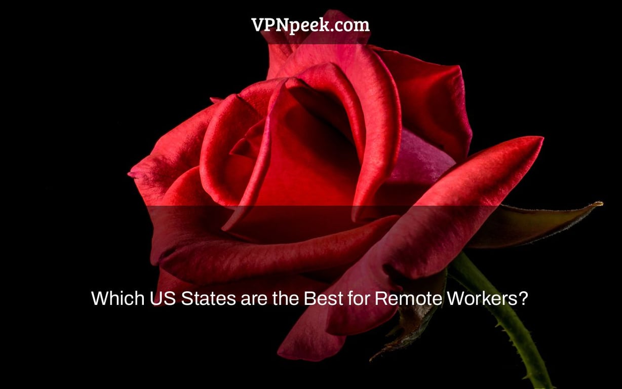 Which US States are the Best for Remote Workers?