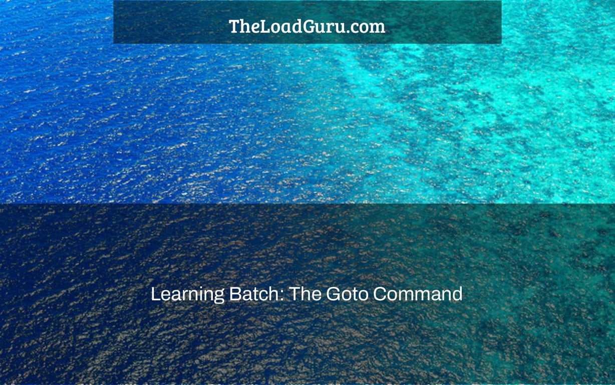 Learning Batch: The Goto Command