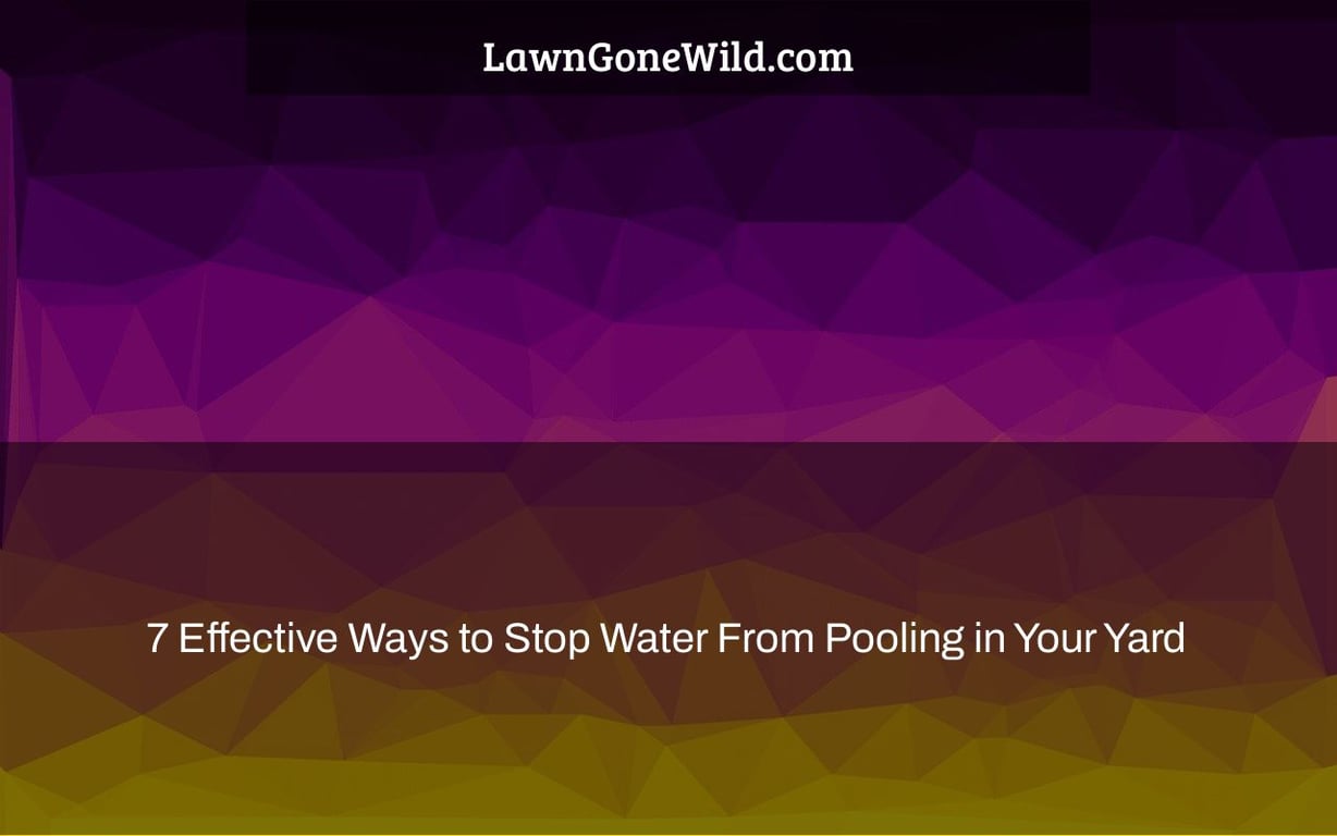 7 Effective Ways to Stop Water From Pooling in Your Yard Lawn Gone Wild